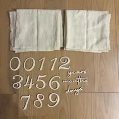 Item thumbnail for item 5d1c01cf-44de-4123-9307-81247685ce82