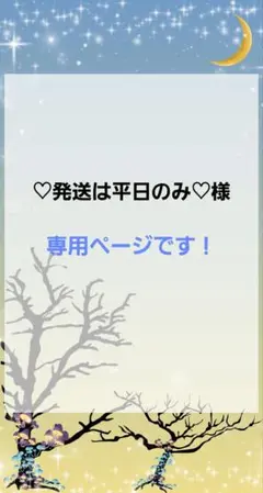 ♡発送は平日のみ♡様　専用ページです！