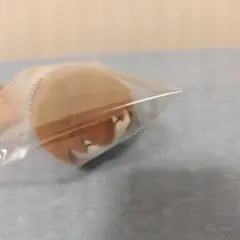 不二周助 もちマス テニスの王子様