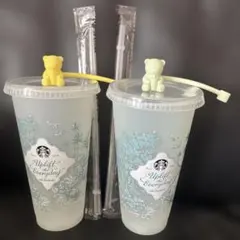 スタバ ミステリーカラーチェンジングリユーザブルコールドカップセット　匿名発送