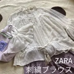 ZARA シースルーブラウス