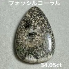 フォッシルコーラル　カボション34.05ct