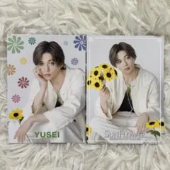 FANTASTICS 八木勇征 SUNFLOWER フォトカ