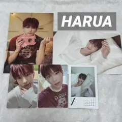 &TEAM シーグリ トレカ HARUA ハルア セット