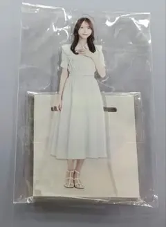 2026年最新】真夏の全国ツアー 乃木坂 アクリルスタンドの人気アイテム