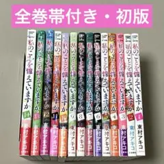私のことを憶えていますか 全14巻 全巻セット 漫画 コミック レンタル
