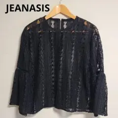 JEANASIS ジーナシス 幾何刺繍レースブラウス 黒 F シアー トップス
