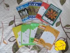 新品❊学習帳9冊セット.ノート.国語.理科.5mm方眼.漢字.勉強.小学校