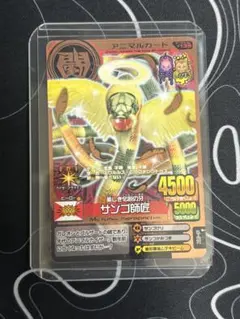 2025年最新】アニマルカイザー サンゴ師匠の人気アイテム - メルカリ