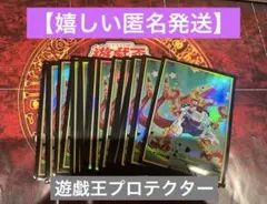 遊戯王OCG RUSH DUEL プロテクター24枚