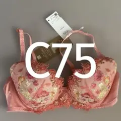 C75 ウイング/ワコール　レシアージュ　ブラジャー PB2920