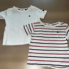 POLO baby Tシャツ２枚セット