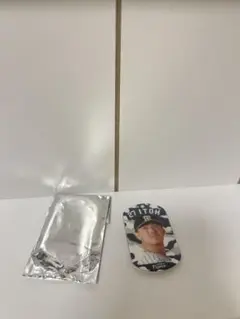 阪神　伊藤　ランダムキーホルダー