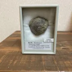 さぼてん様 リクエスト 2点 まとめ商品