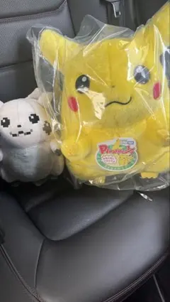 点セット　ポケモン はじまりのピカチュウ＆おかえり！ピカチュウ ぬいぐるみ