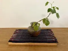 天然木の飾り台★お皿★花台のサムネイル