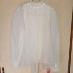 Item thumbnail for item bb706495-c82e-4018-ab0e-54386a9cd83a