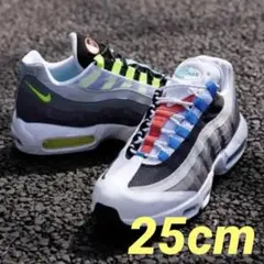 【エアマックス95】Nike Air Max 95 QS GREEDY 25.0