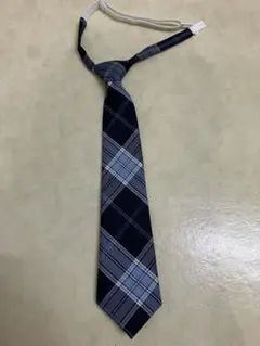 Item thumbnail for item 81bb8be6-28aa-4ed9-912b-314bd7a0b68e