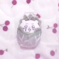 ちいかわ ぬいぐるみ 白菜付き