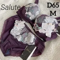新品/ワコール/サルート/ブラ&ショーツanan 掲載 倉科カナさん/C75/M