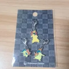 ポケモン メタルチャーム