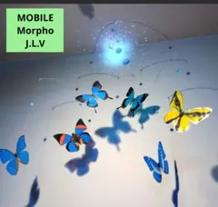 Item thumbnail for item c4471626-8e36-4d4e-9a05-1355aaecf561