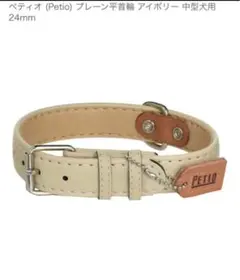 Item thumbnail for item d6ef1044-e836-4bca-94ac-29e2b7afbf65