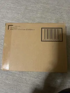 S.H.Figuarts 仮面ライダークウガ 九郎ヶ岳の死闘セット