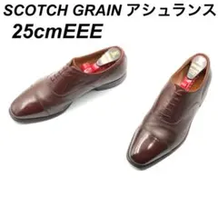SCOTCH GRAIN アシュランス 25cmEEE 3526 茶のサムネイル