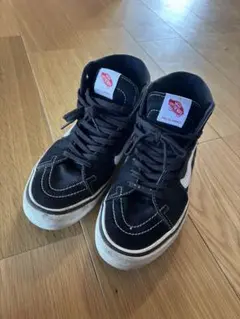 Item thumbnail for item 7e28a31b-af6a-4232-acc6-004206bdb51d