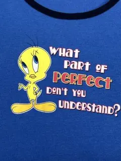 00s ルーニーテューンズ　トゥイーティー　リンガーtシャツ ブルー系のサムネイル