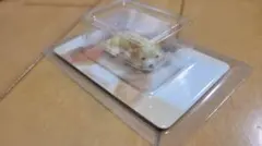 Item thumbnail for item cbfb5aa6-13dc-4443-a803-7383fd256992