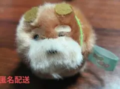 Item thumbnail for item ccce01fa-a90d-4b13-a871-7ac0d30daea2