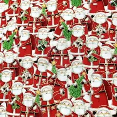 輸入生地 Jolly St Nick サンタ