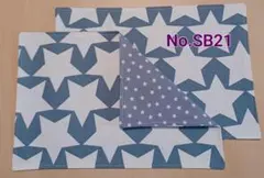 新品ランチョンマット2枚セット《No. SB21》