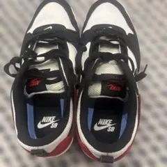 【新品】NIKE SB アリウープ スニーカー 黒 白 23cm スケシュー