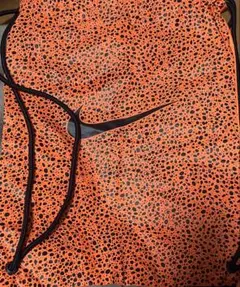 【激レア非売品純正中古品】NIKEエアズームマックスフライ2付属品シューズ袋