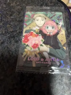 SPY×FAMILY ロイド & アーニャ カード
