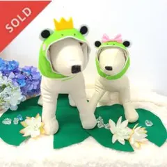 専用！犬用 Ssize コスプレ 被り物カエル no33