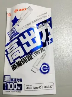 USB Type-Cケーブル 100W急速充電