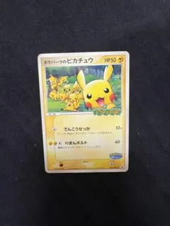 ポケパークのピカチュウ PROMO PCG-Pプロモカード 043/PCG-Pのサムネイル