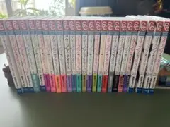 【美品】クイーンズ・クオリティ 全25巻セット