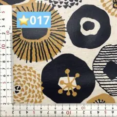 ⭐️017 ラミネート
