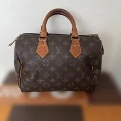 LOUIS VUITTON ルイヴィトン モノグラム スピーディ25 バッグのサムネイル