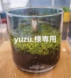yuzu.様専用