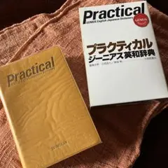 Item thumbnail for item 62734e97-0744-41c5-857b-f3ae04f5ec32