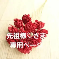 ご先祖様♡様 リクエスト 2点 まとめ商品