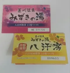 2026年最新】みずきの湯 回数券の人気アイテム - メルカリ
