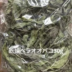 기후현산 말린 질경이 30g 애완동물 간식 무농약